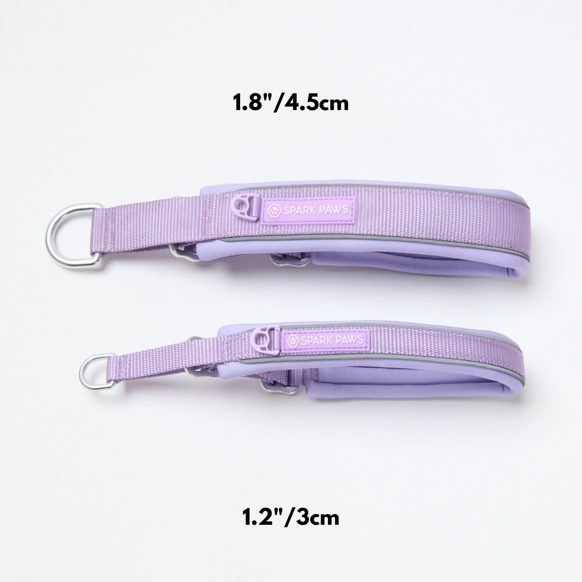 Thumbnail 12