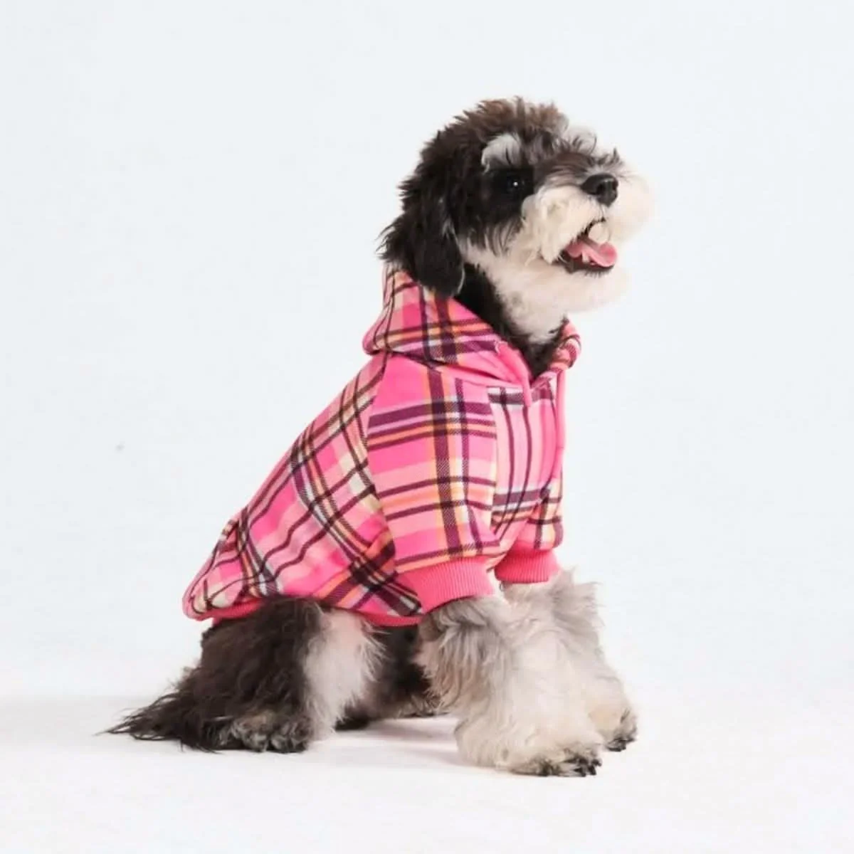 Thumbnail 39